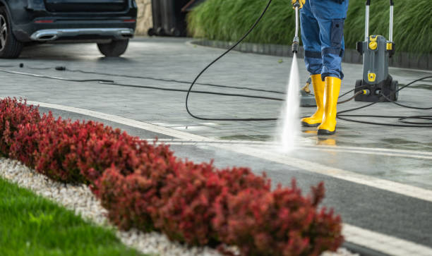 Best Gutter Cleaning and Brightening in Zimmerman, MN